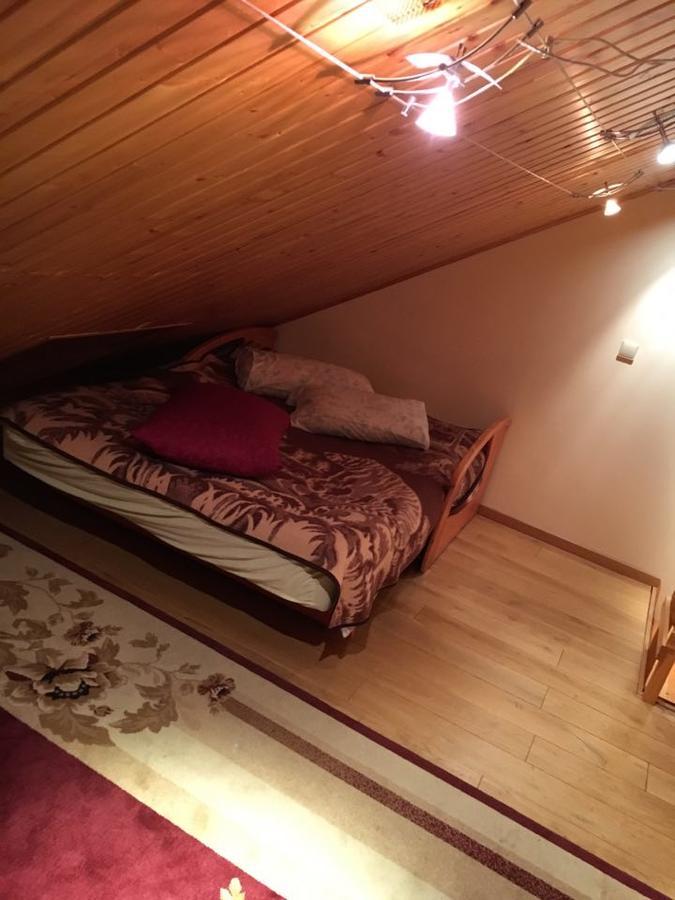 Hotel Dainava ドルスキニンカイ エクステリア 写真